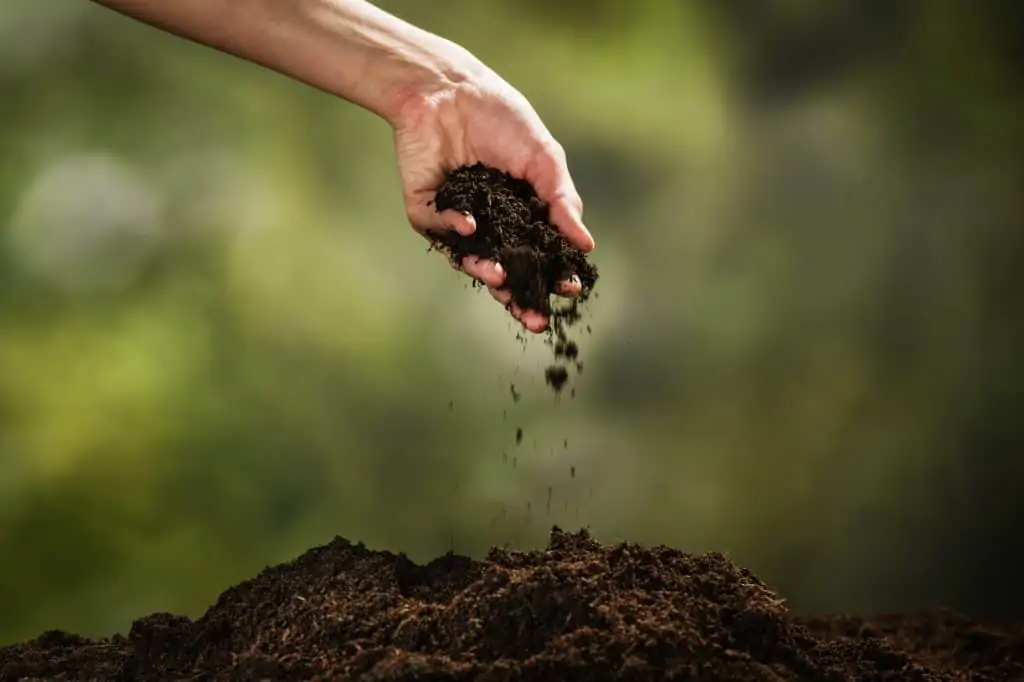 Where is human composting legal in the U.S.?